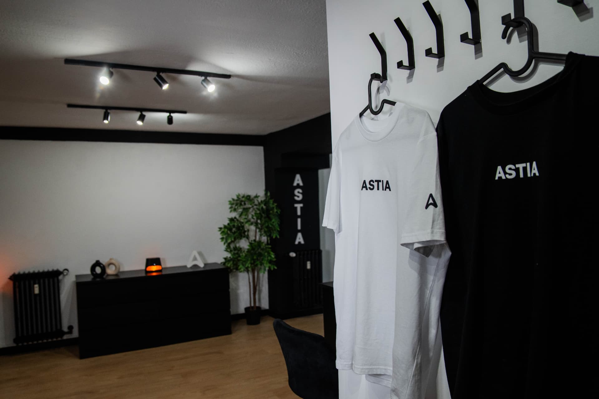 Recepción y equipación de Astia