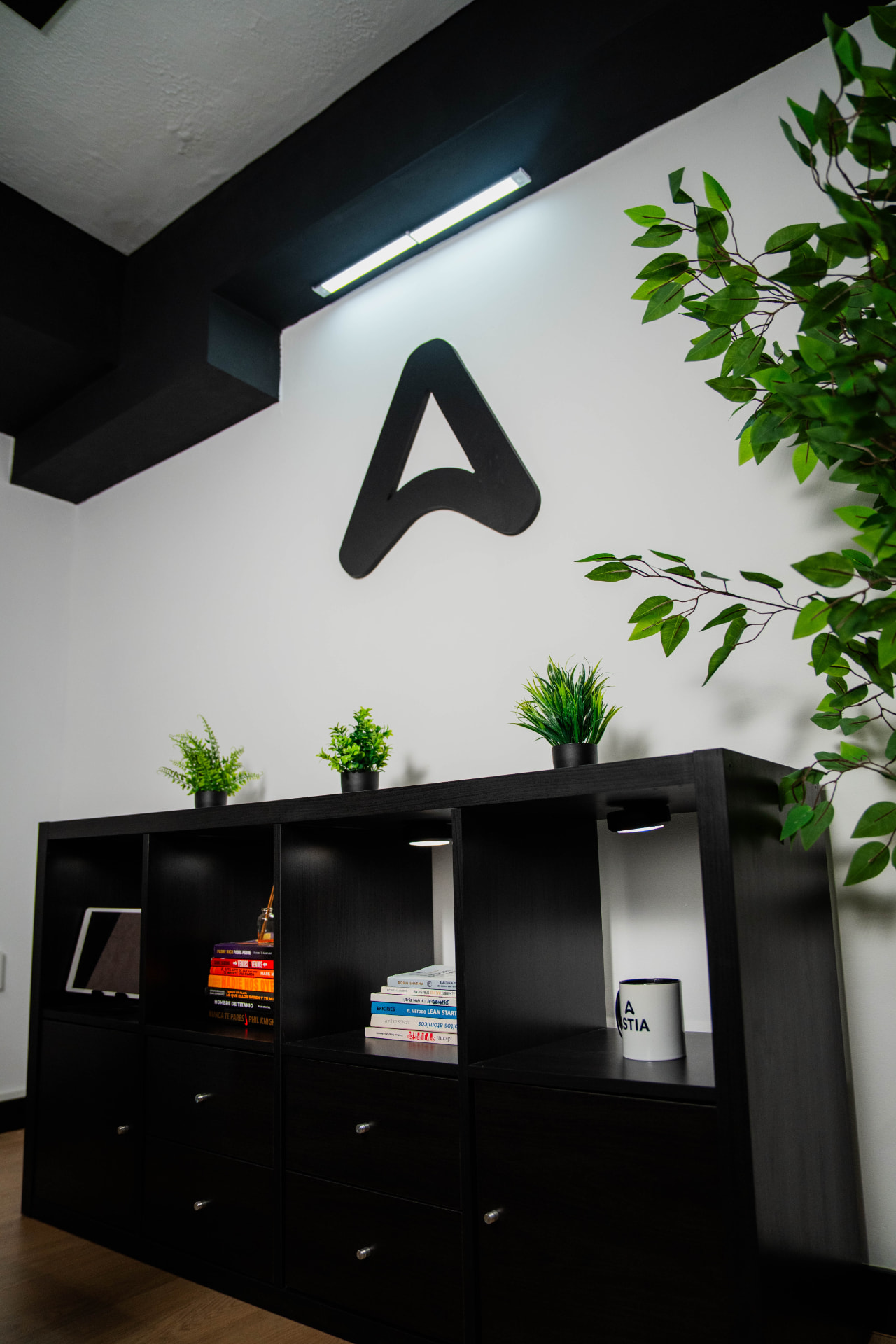 Detalle de la estantería de la oficina de Astia