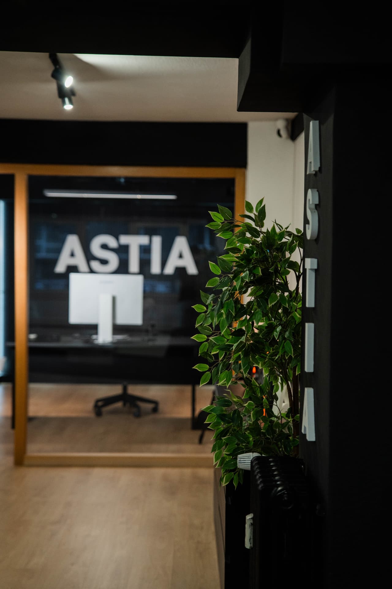 Sala de trabajo de Astia vista desde la entrada